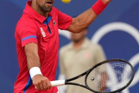 开云体育-包含德约科维奇迎来十二赛季高光表现，独行侠球迷沸腾！的词条